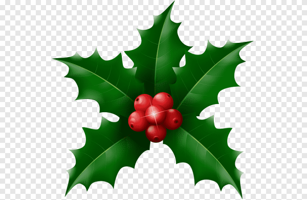 Остролист – Holly вектор