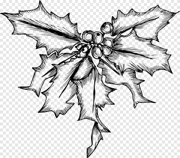 Омела нарисованная