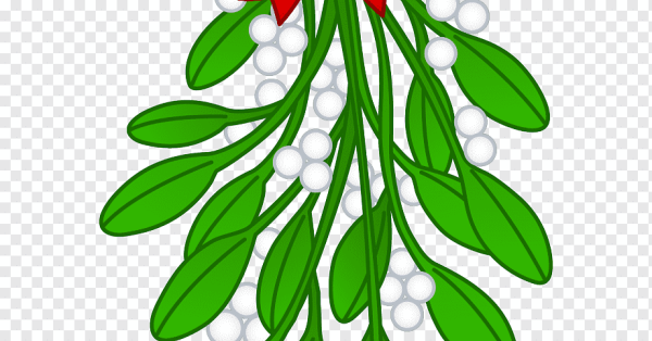 Рождественская символика