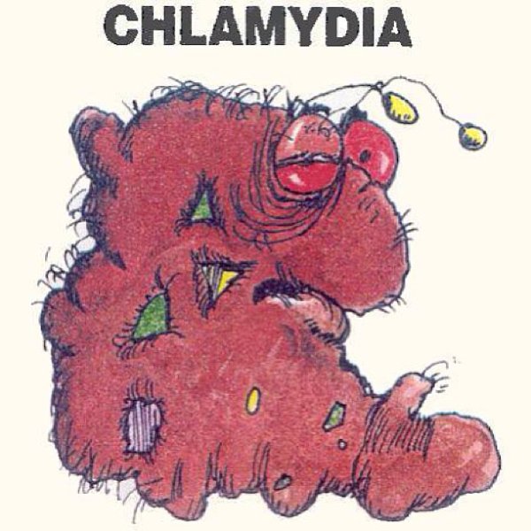 Хламидии заболевания у человека