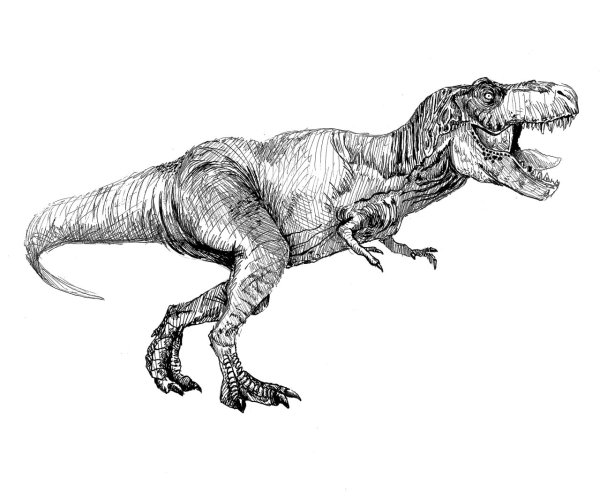 Тату Тираннозавр рекс