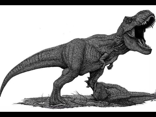 Как нарисовать тираннозавра Рекса для детей