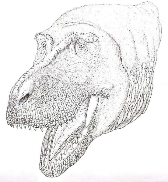 Рисунок Тирекса динозавра