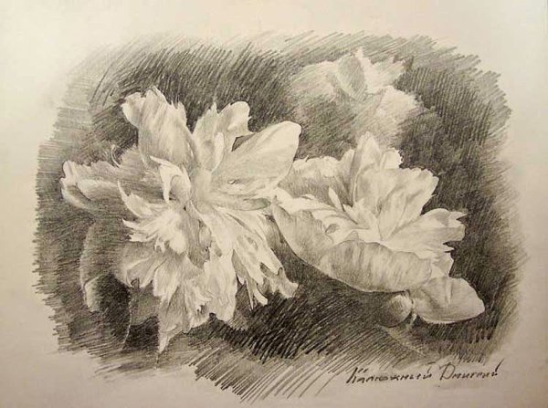 Цветы в графике известных художников