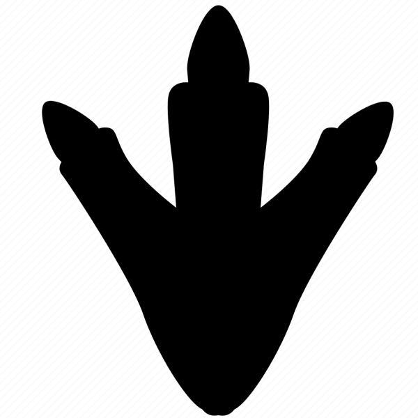 След динозавра контур