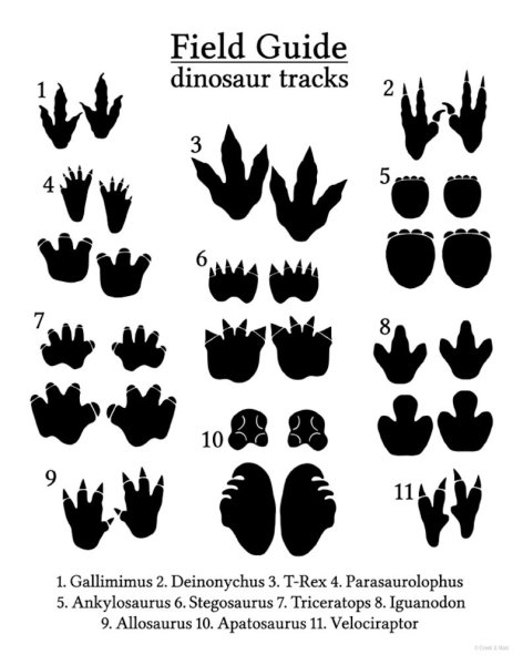 Следы динозавров