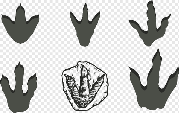 Следы динозавров