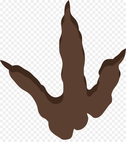 Следы динозавров