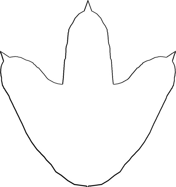 Следы динозавров