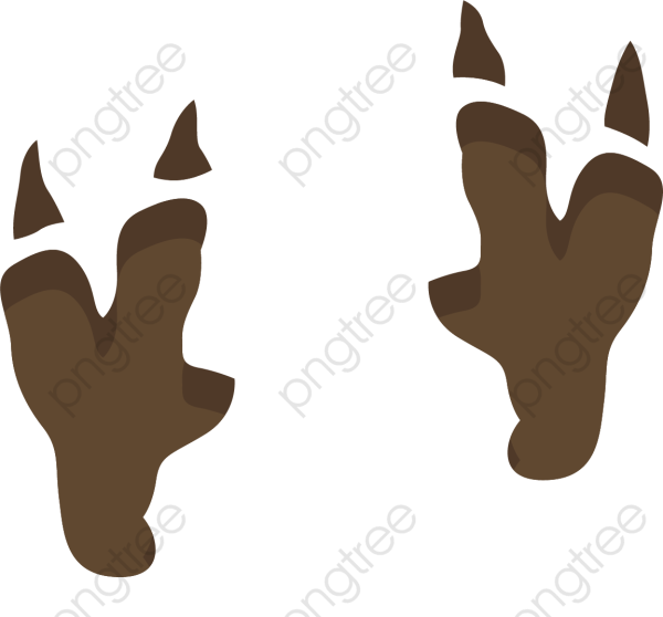 Следы динозавров для детей