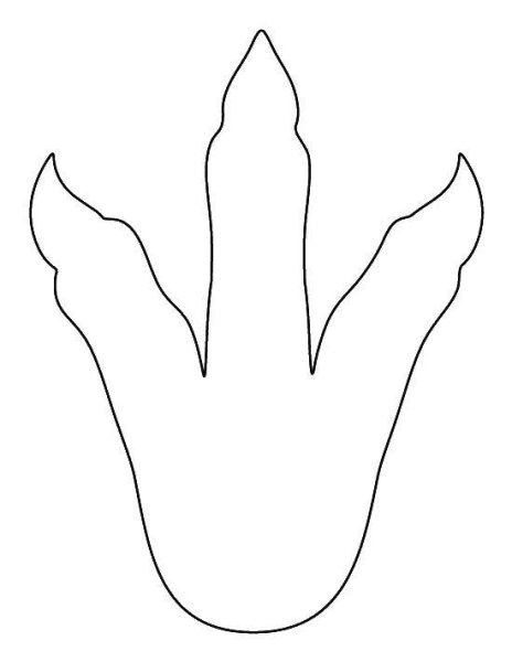 Отпечаток лапы динозавра