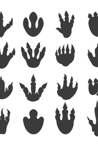 Следы динозавров