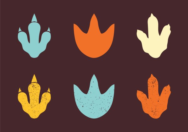 Следы динозавров раскраска