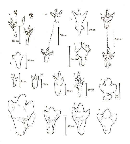 Следы динозаврика