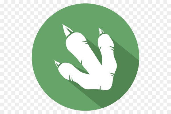 Отпечаток лапы динозавра