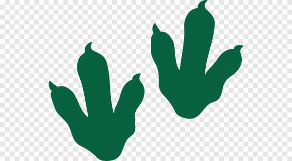 След динозавра контур