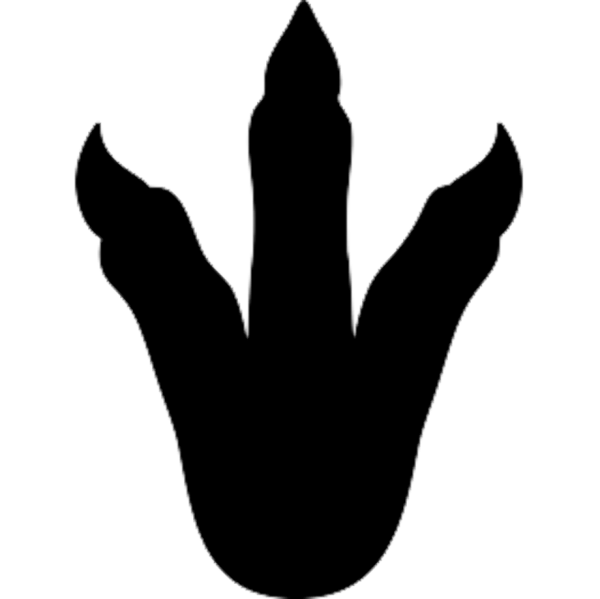 Отпечатки следов динозавров