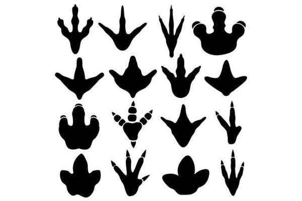 Лапки динозавра следы