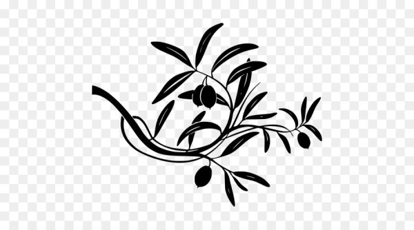 Ветка оливы эскиз