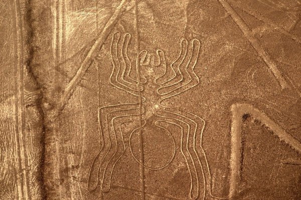 Геоглиф кошки на плато Наска