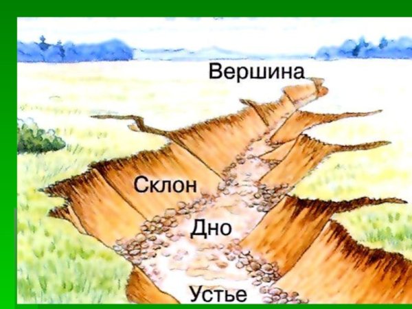 Строение оврага