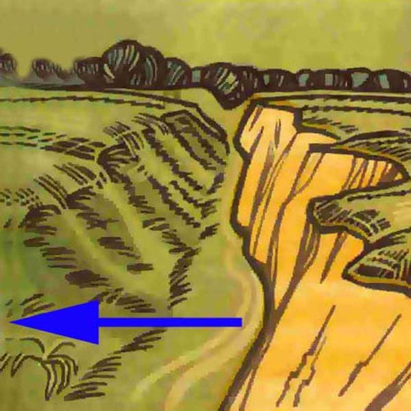 Зарисовка оврага