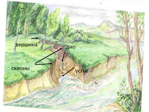 Овраг схема