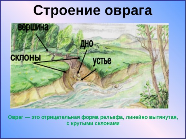 Строение оврага схема