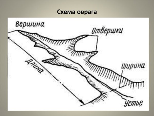 Строение оврага схема