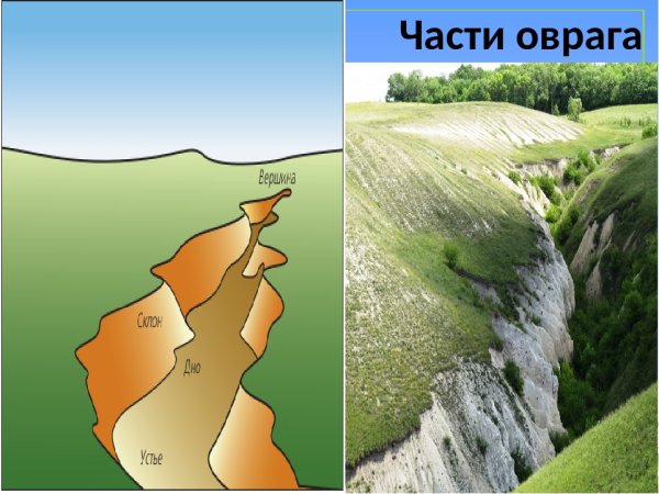 Элементы оврага