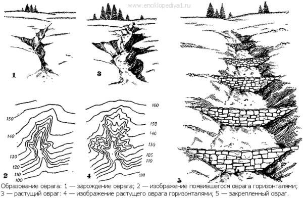 Строение оврага