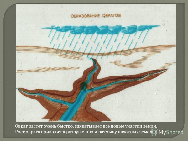 Макет оврага