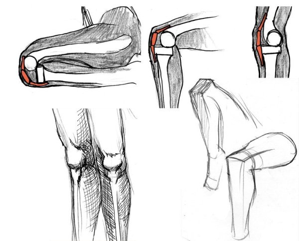 Рисование коленей