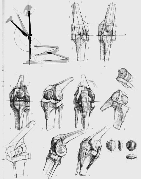 Готфрид Баммес коленный сустав