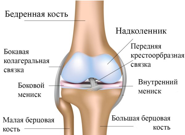 Болезнь Кёнига рассекающий остеохондрит тазобедренного сустава
