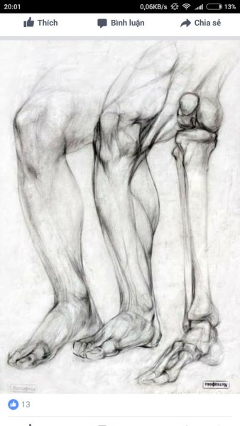 Сустав рисунок