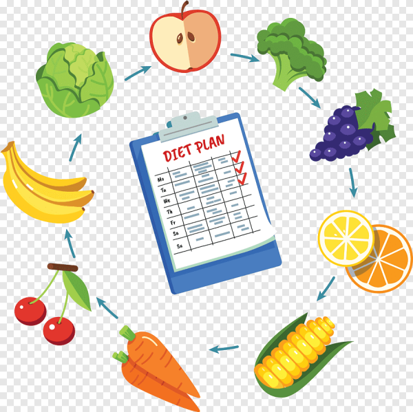 План питания