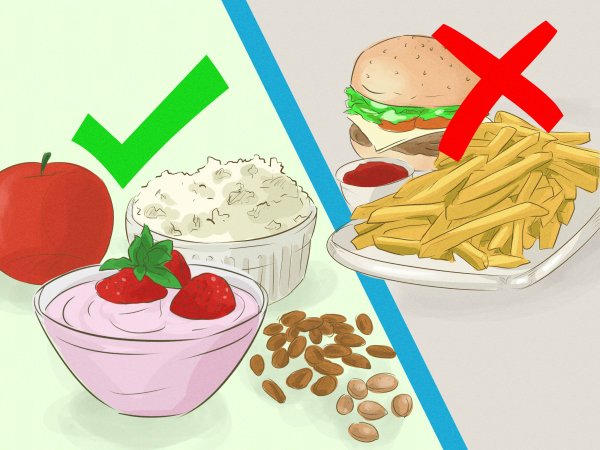 Вредная и полезная пища рисунок