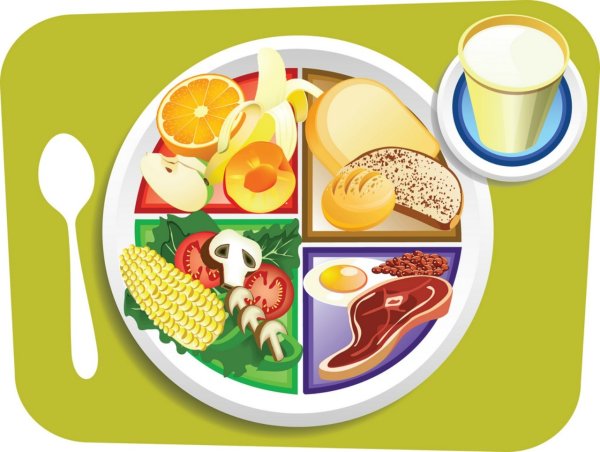 Тарелка питания для детей