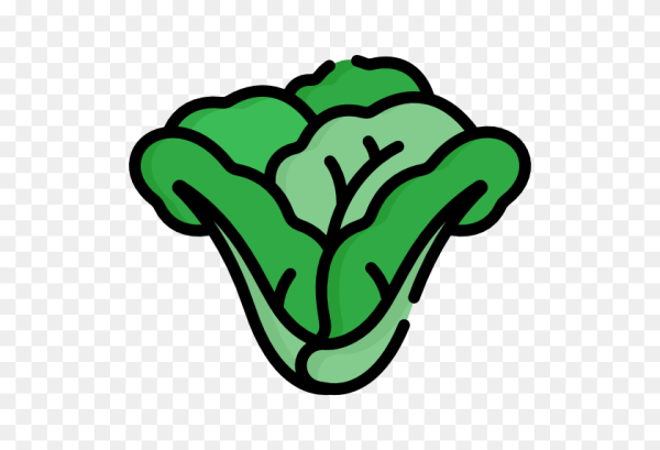 Лист салата вектор