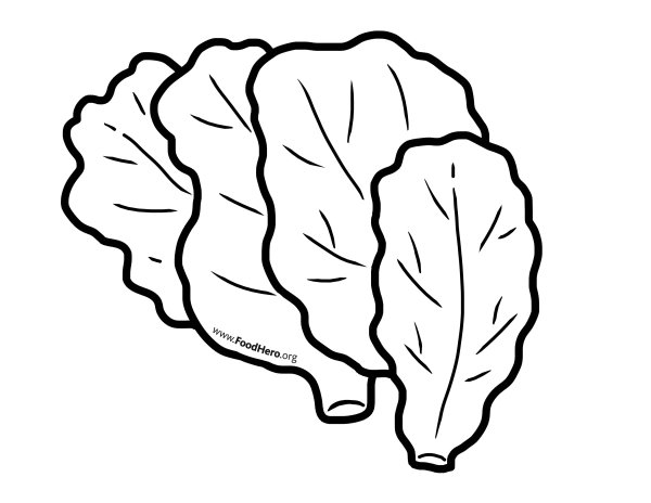 Листья салата раскраска для детей