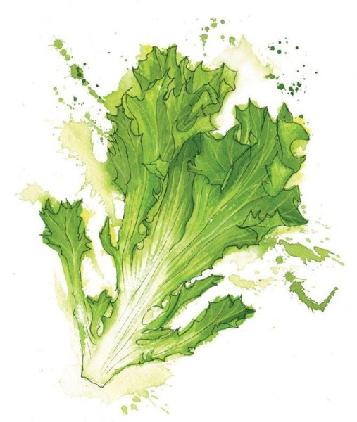 Салат акварель