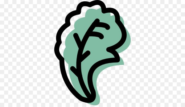 Лист салата вектор