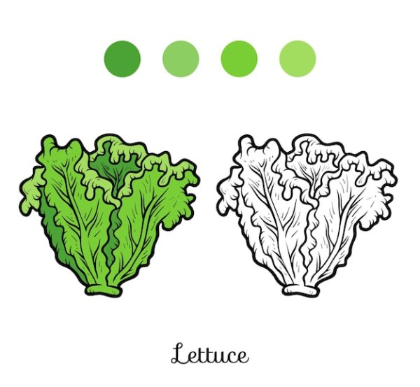 Лист салата для раскрашивания