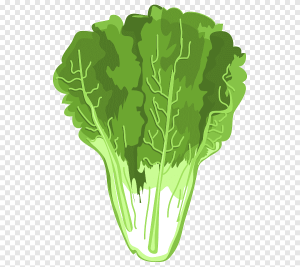 Лист салата для детей