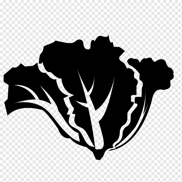 Лист салата вектор