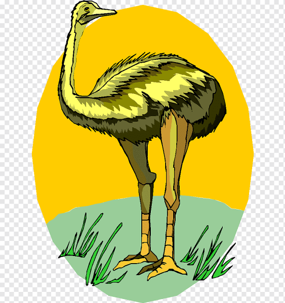 Страус цветной