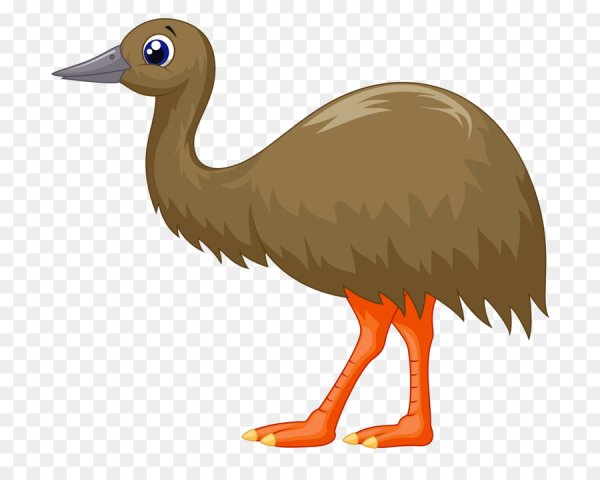 Эму мультяшный