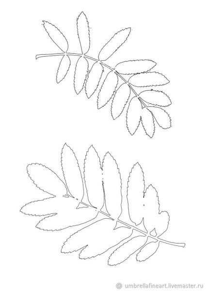 Лист рябины шаблон
