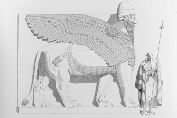 Шеду Ассирия рисунок